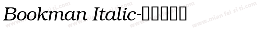 Bookman Italic字体转换